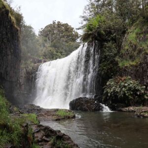 Experience the magic of North West Tasmania's waterfalls with Coastline Tours. Immerse in guided tours that lead you to the captivating beauty of these cascading treasures while exploring the region.