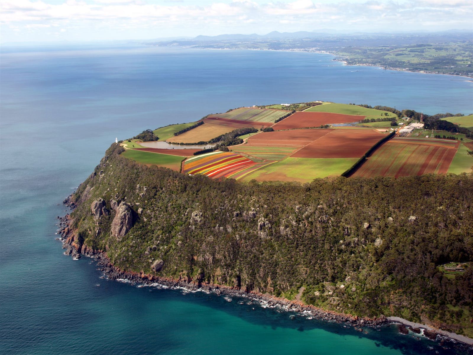 Coastline Tours invites you to discover The Nut in Stanley. Join guided tours that take you on a journey to this distinctive formation, offering panoramic views, cultural insights, and a deeper connection to North West Tasmania's coastal beauty.