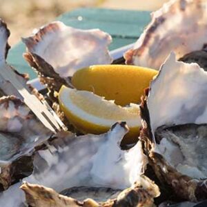 coastline-tours-tasmania-oysters-blog2